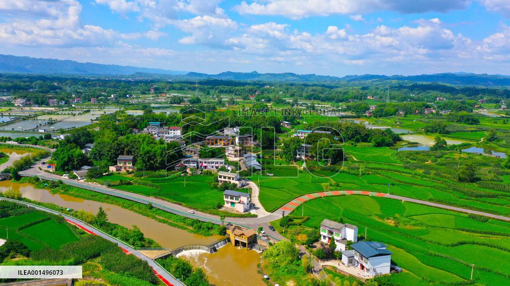 China Most Beautiful Rural Area Liangping Yumi Road