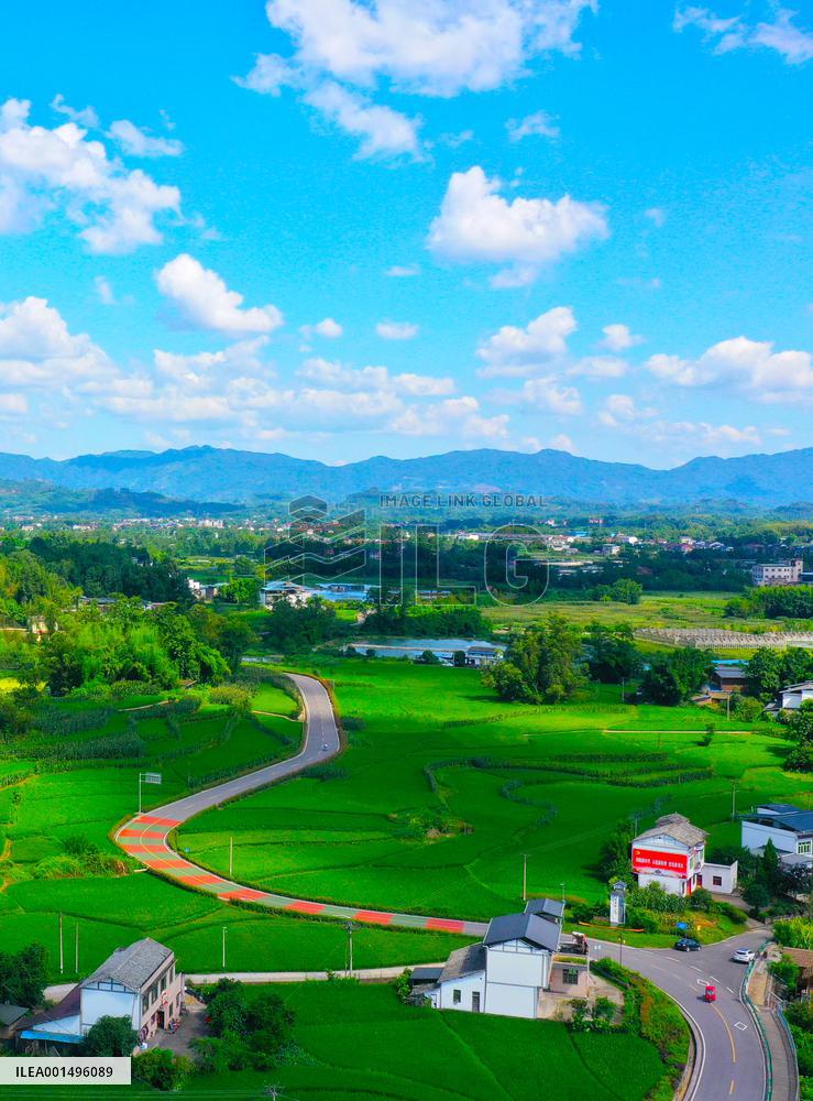 China Most Beautiful Rural Area Liangping Yumi Road