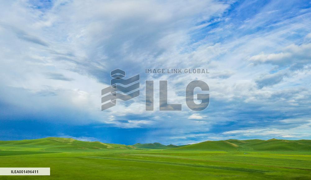 CHINA-INNER MONGOLIA-HOLIN GOL-GRASSLAND (CN)