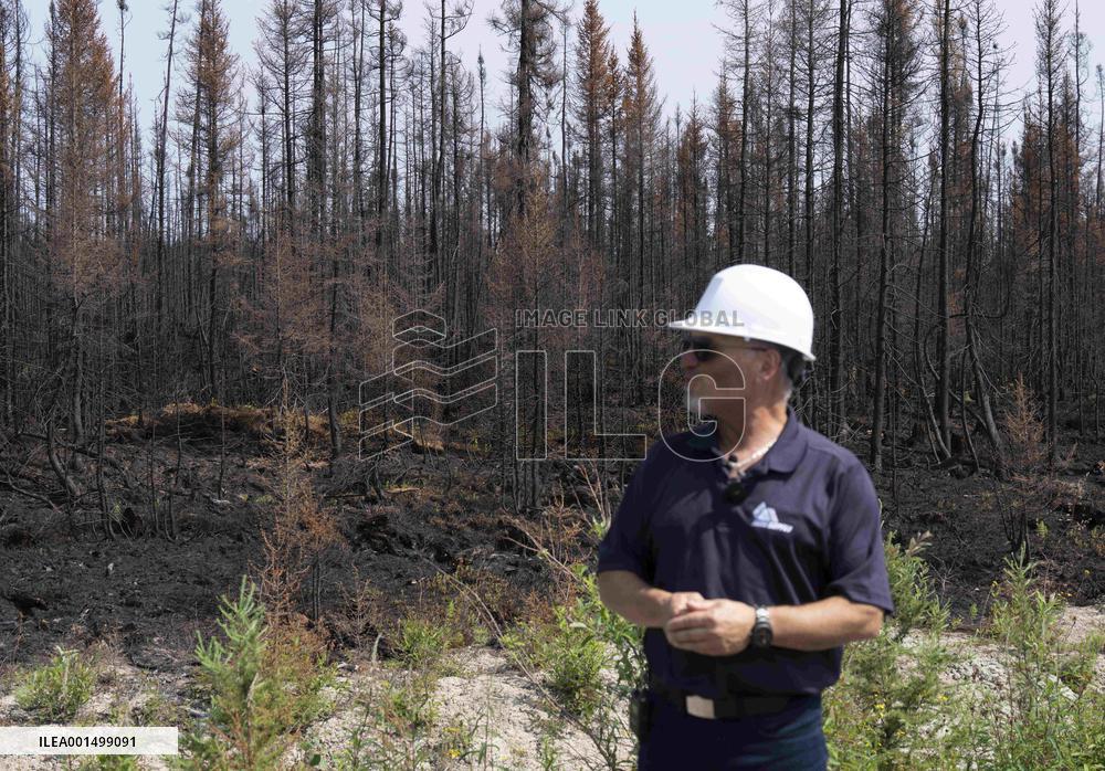 Forest Fire Aftermath - Canada