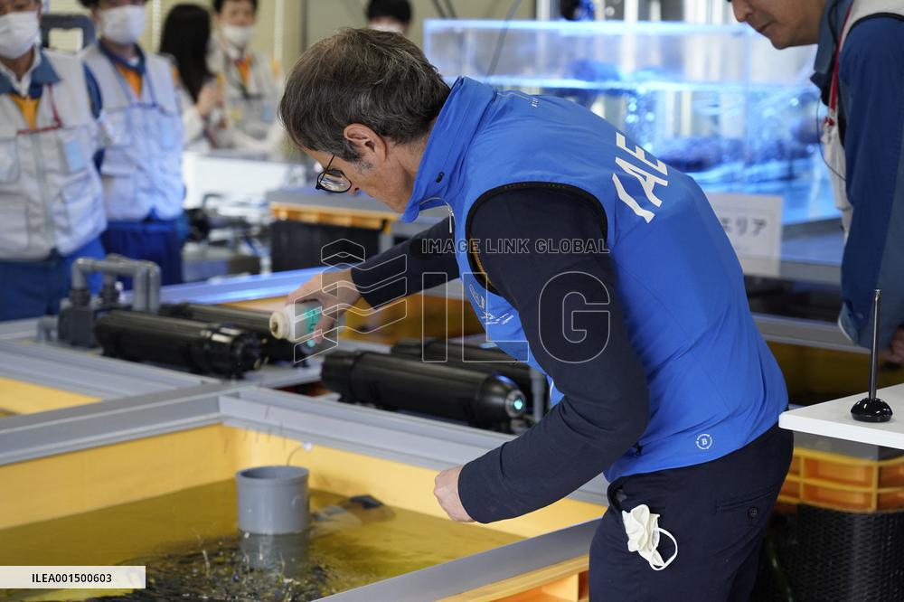 IAEA Approves Plan For Water Release - Fukushima