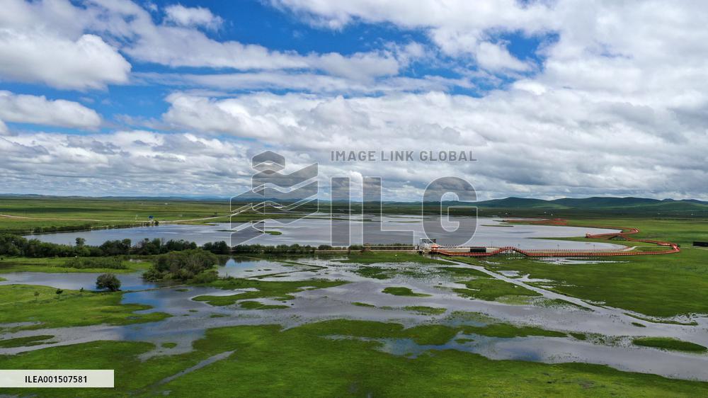 CHINA-GANSU-MAQU WETLANDS-SCENERY (CN)