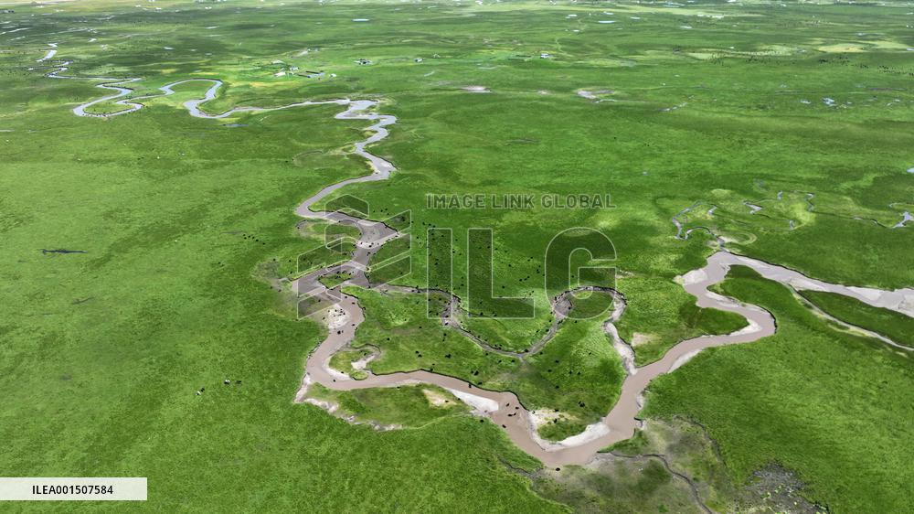 CHINA-GANSU-MAQU WETLANDS-SCENERY (CN)