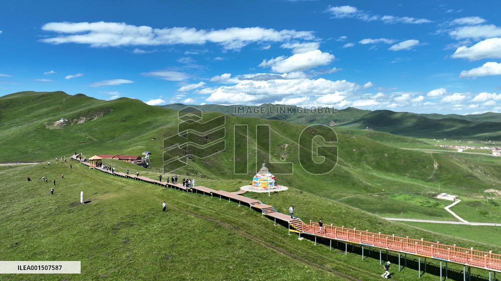 CHINA-GANSU-MAQU WETLANDS-SCENERY (CN)