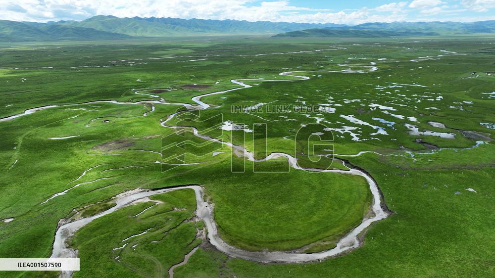 CHINA-GANSU-MAQU WETLANDS-SCENERY (CN)