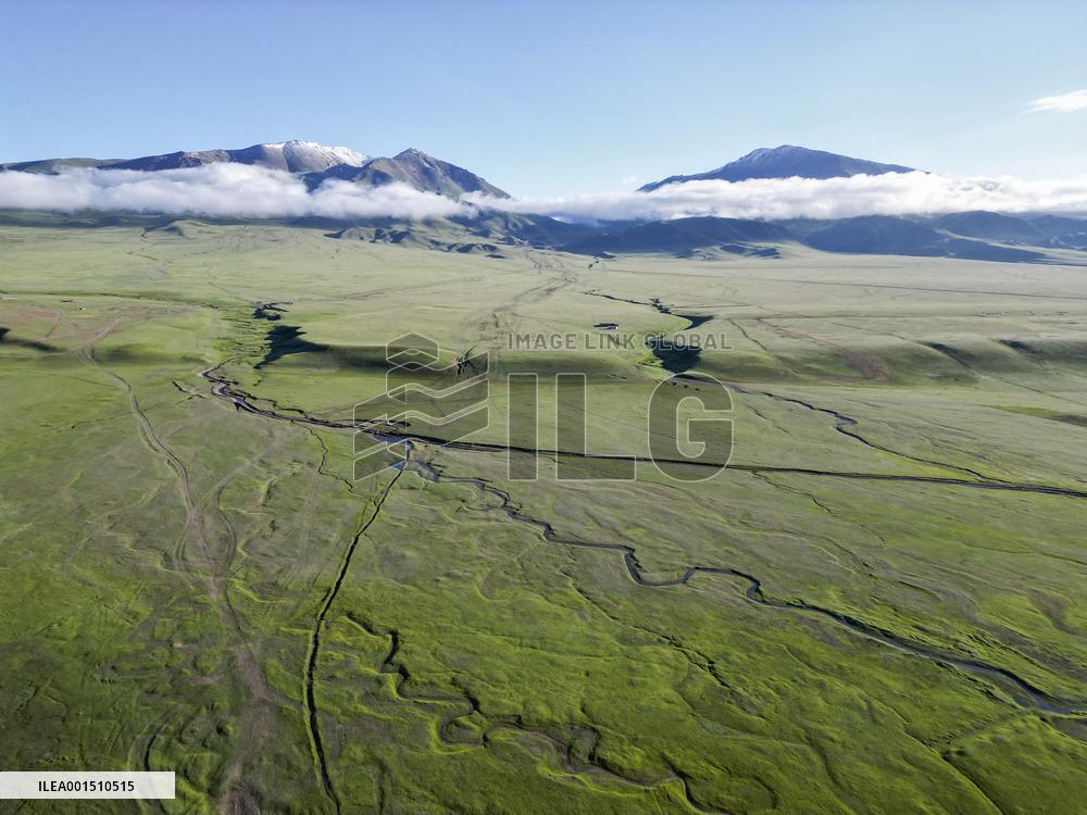 CHINA-XINJIANG-BAYAN BULAG GRASSLAND-SCENERY (CN)