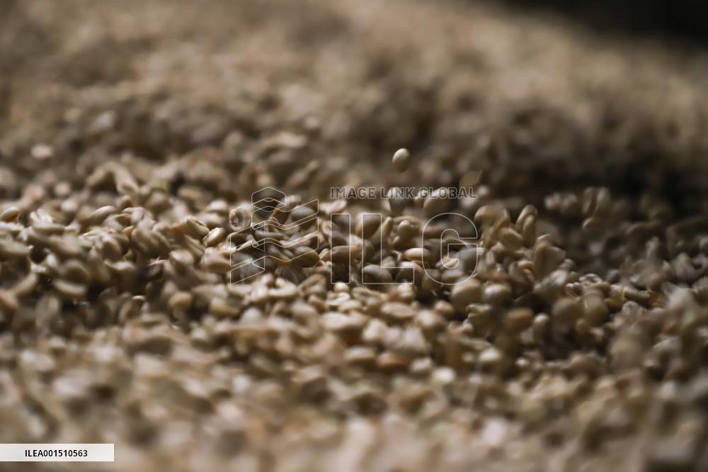 ETHIOPIA-ADDIS ABABA-COFFEE-EXPORT-CHINA