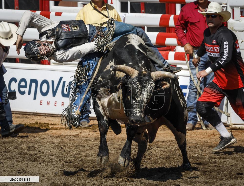 Rodeo At Calgary Stampede - Canada