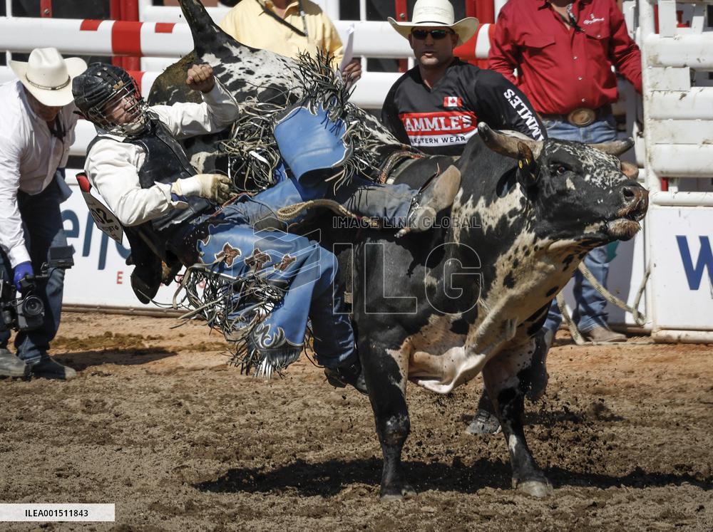Rodeo At Calgary Stampede - Canada