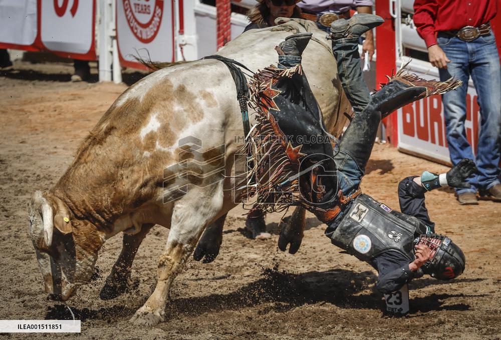 Rodeo At Calgary Stampede - Canada