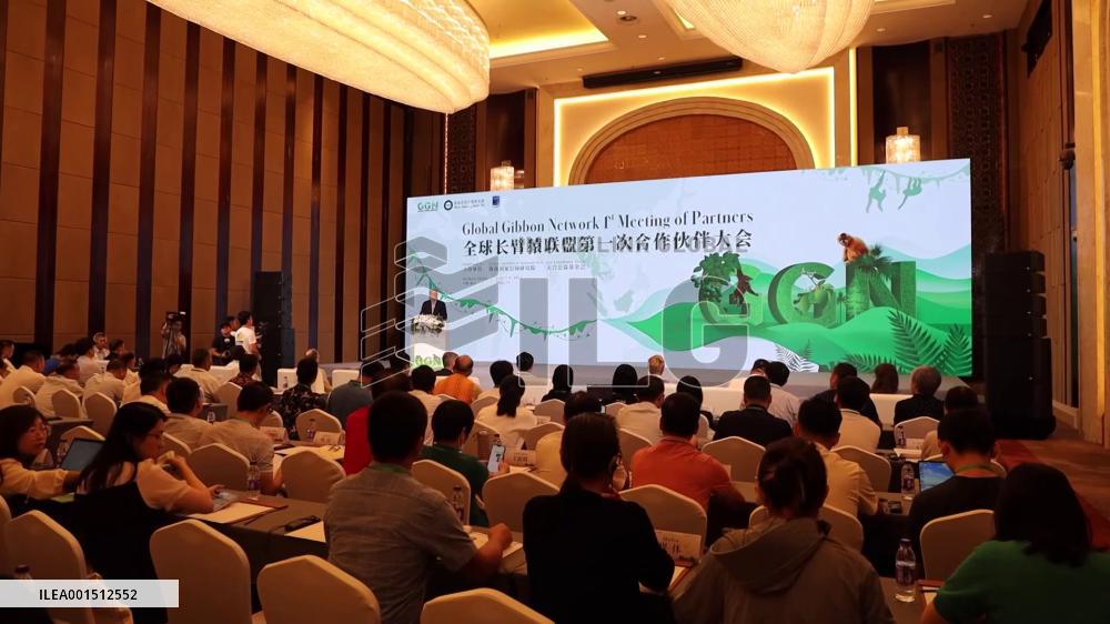 Experts call for joint efforts to protect gibbons at meeting in China's Haikou