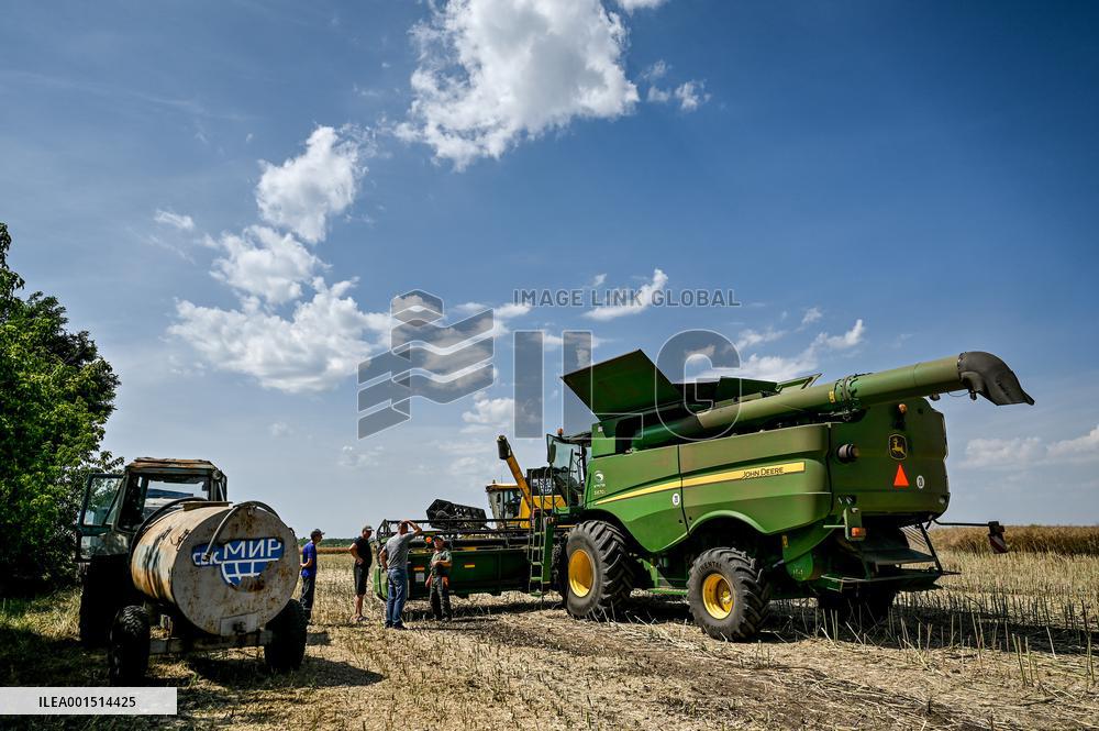 Rapeseed harvesting in Zaporizhzhia Region