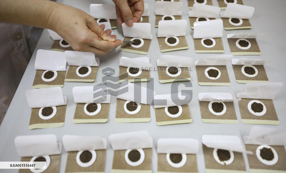 TCM Sanfu Sticker Popular In China