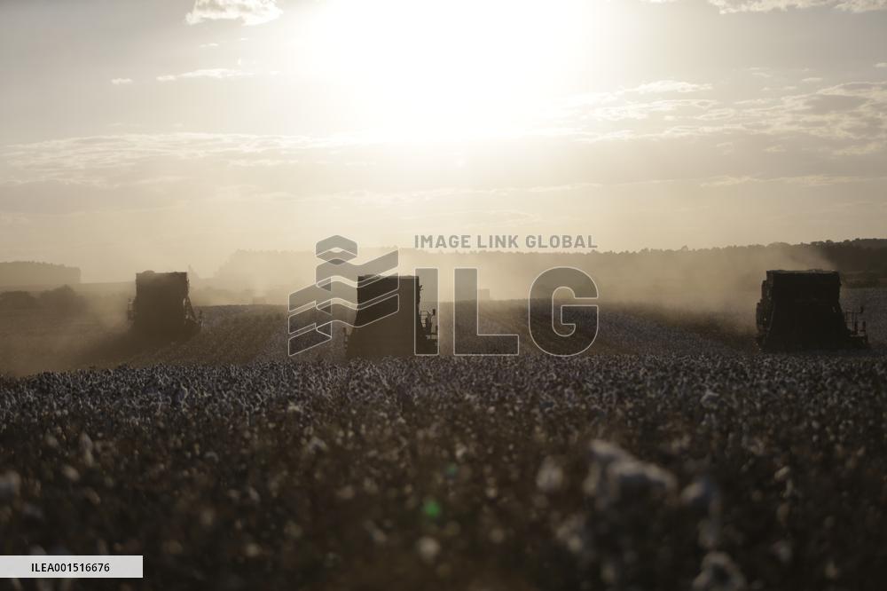 BRAZIL-GOIAS-COTTON HARVEST
