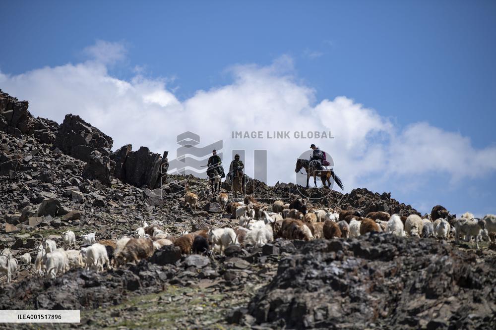 (FOCUS)CHINA-XINJIANG-YUMIN COUNTY-NOMADS-LIFE (CN)