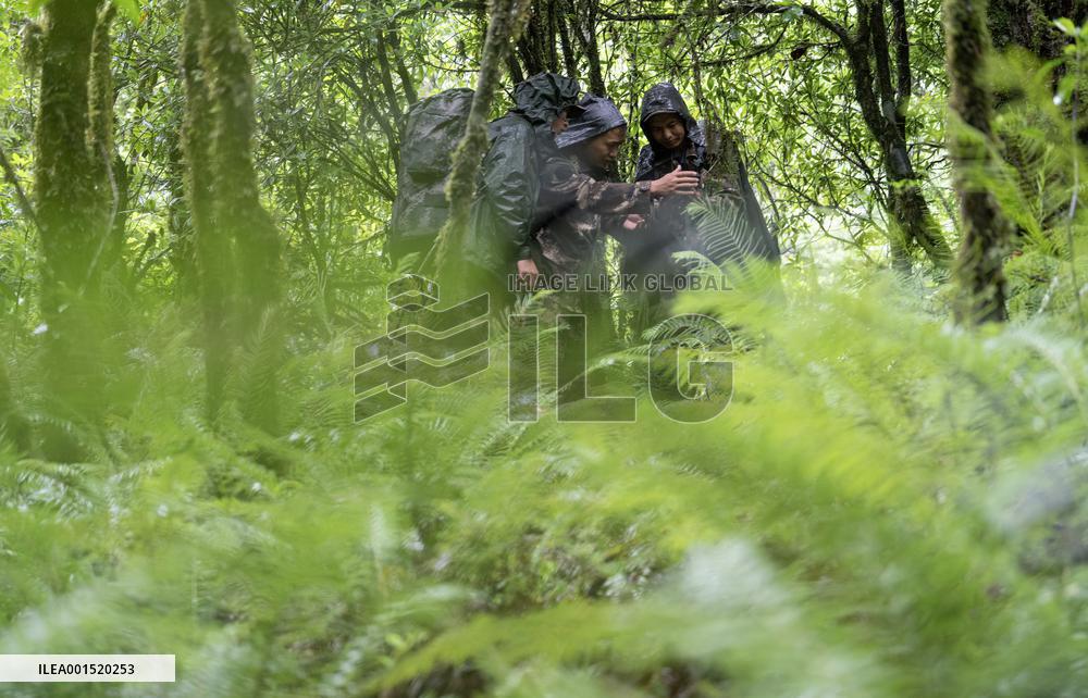 CHINA-YUNNAN-GAOLIGONGSHAN NATURE RESERVE-RANGER (CN)