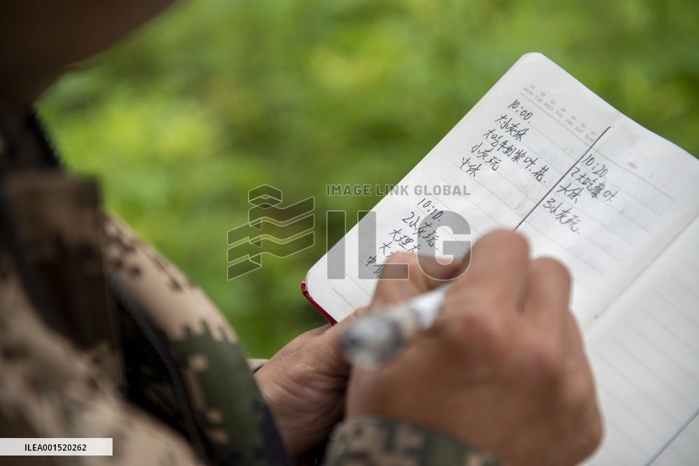 CHINA-YUNNAN-GAOLIGONGSHAN NATURE RESERVE-RANGER (CN)