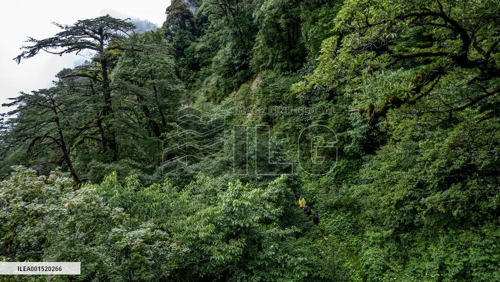CHINA-YUNNAN-GAOLIGONGSHAN NATURE RESERVE-RANGER (CN)