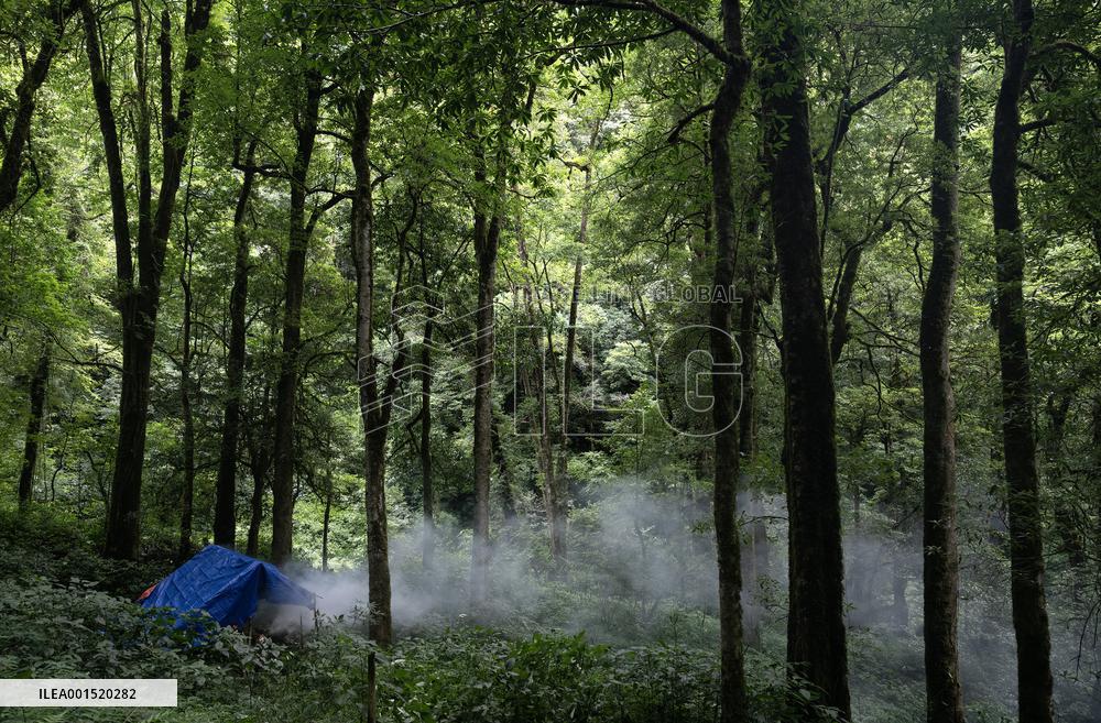 CHINA-YUNNAN-GAOLIGONGSHAN NATURE RESERVE-RANGER (CN)