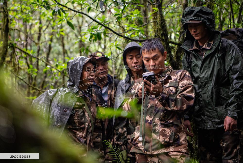 CHINA-YUNNAN-GAOLIGONGSHAN NATURE RESERVE-RANGER (CN)