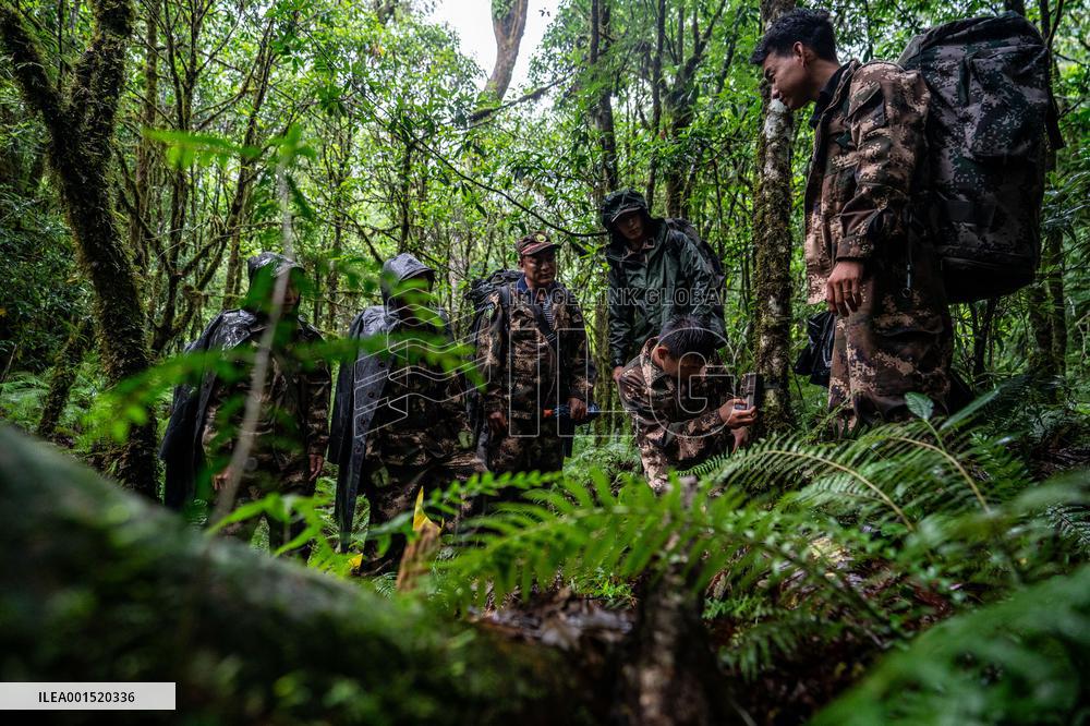 CHINA-YUNNAN-GAOLIGONGSHAN NATURE RESERVE-RANGER (CN)