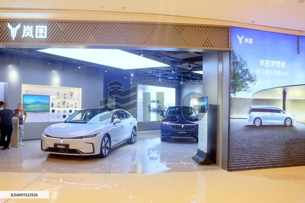 Electric Car Brand VOYAH