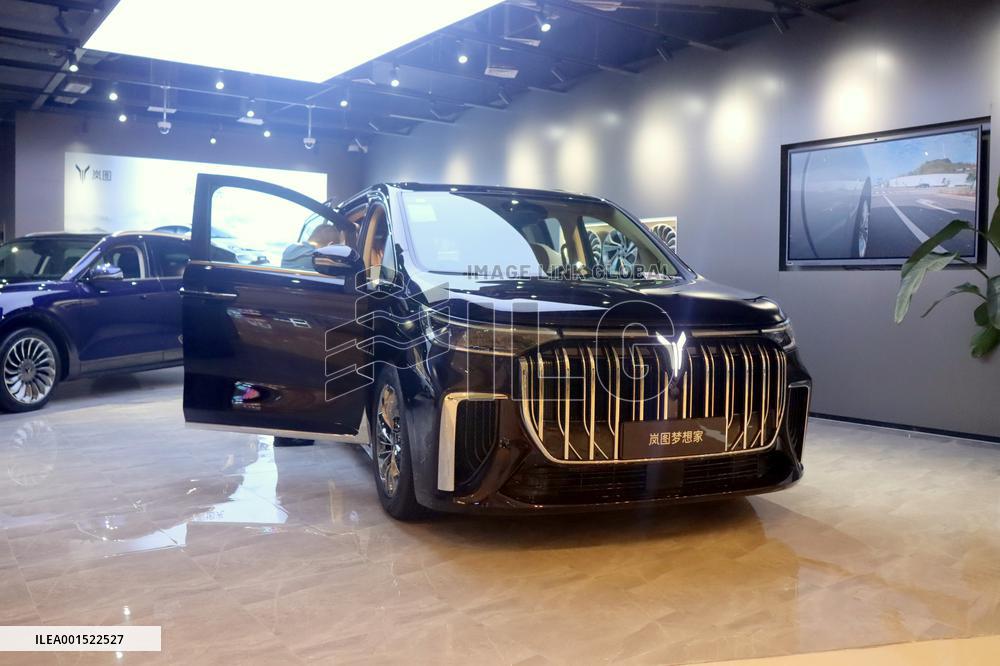 Electric Car Brand VOYAH