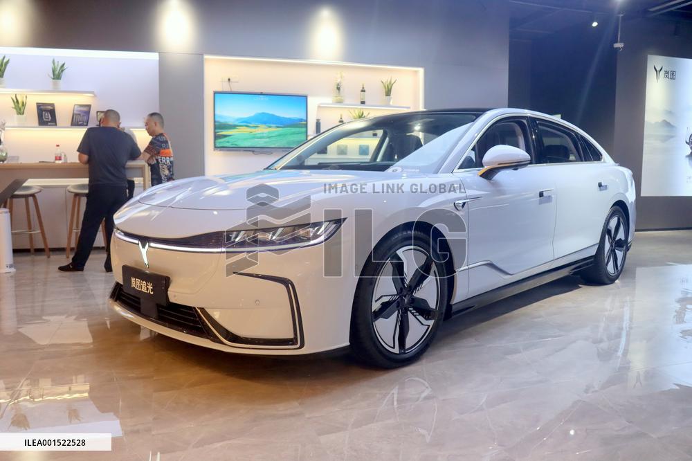 Electric Car Brand VOYAH