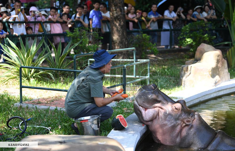 CHINA-GUANGDONG-GUANGZHOU-ZOO-ANIMALS-COOLING OFF(CN)