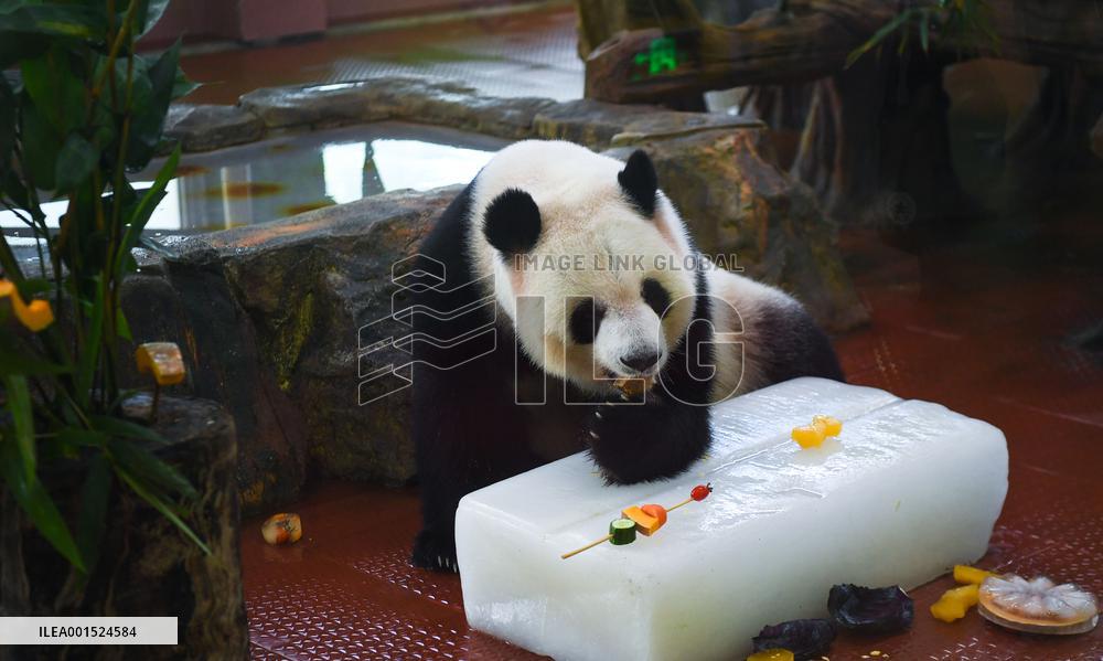CHINA-GUANGDONG-GUANGZHOU-ZOO-ANIMALS-COOLING OFF(CN)
