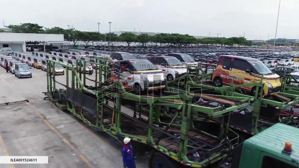 China's booming NEV market provides opportunities for foreign automakers
