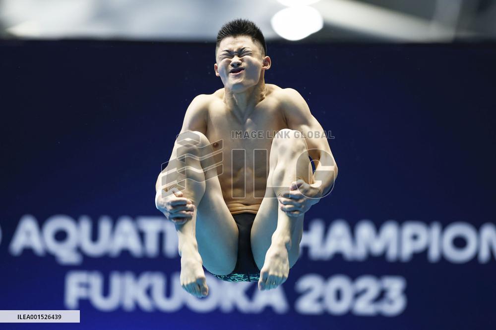 World aquatics championships