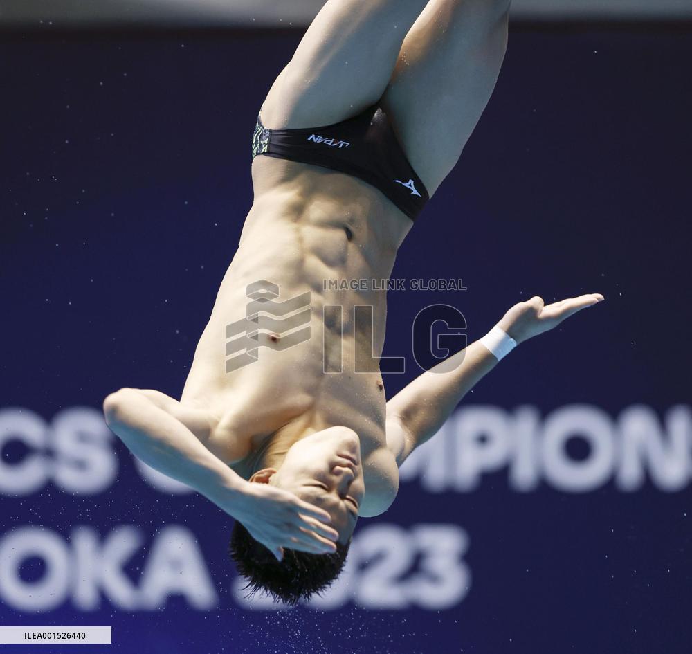 World aquatics championships