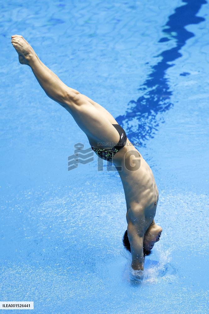 World aquatics championships