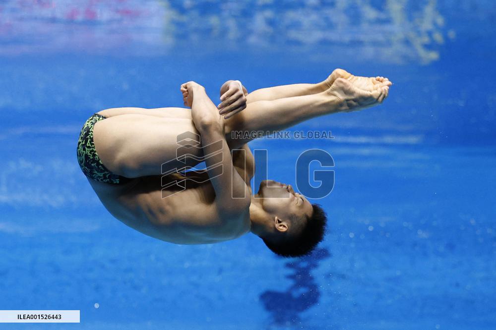 World aquatics championships