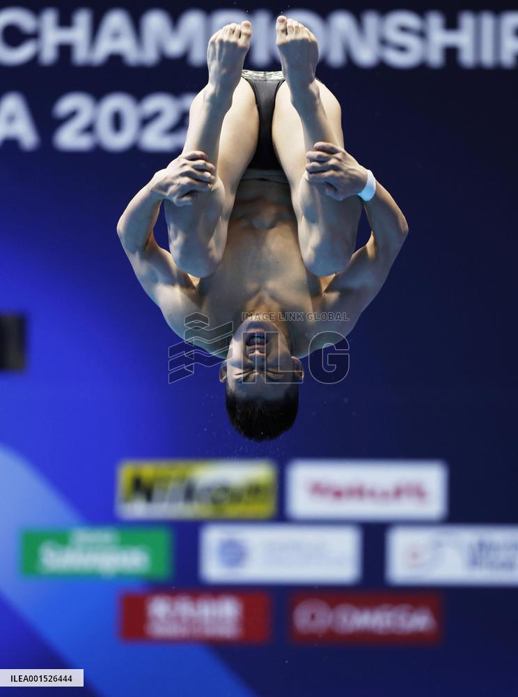 World aquatics championships