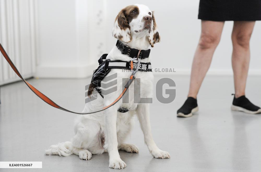 World's first anti-doping dog