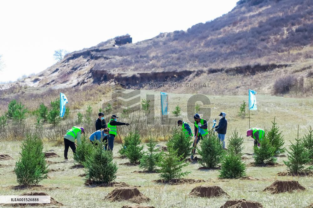 CHINA-INNER MONGOLIA-SAND CONTROL-PROGRESS (CN)