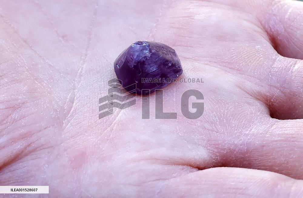 William Shatner Wants To Send Your DNA To The Moon - LA