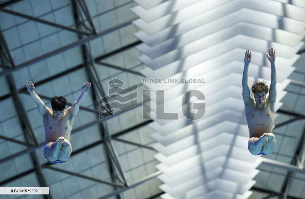 World aquatics championships