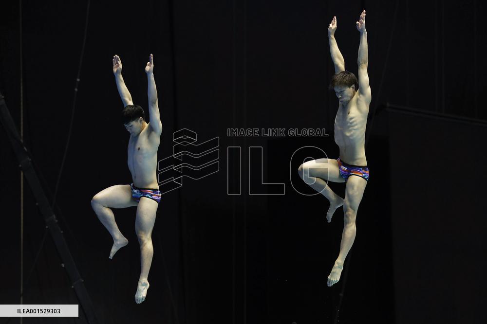 World aquatics championships