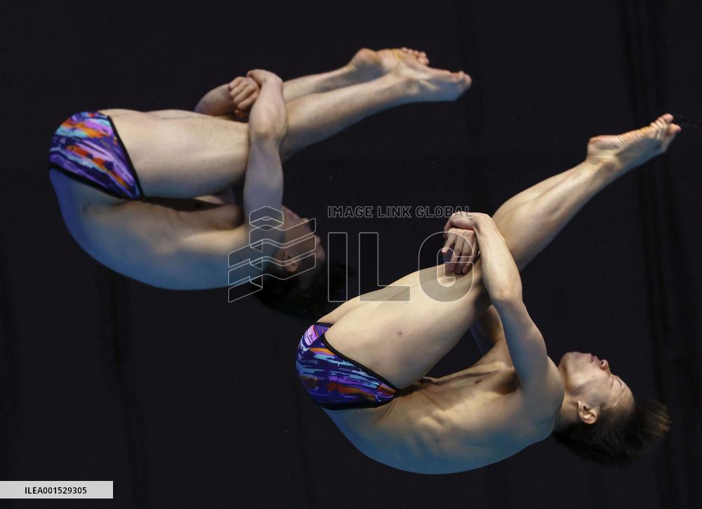 World aquatics championships