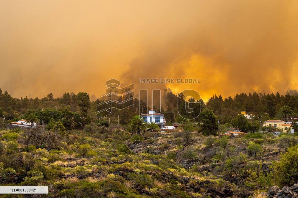 Forest Fire In Canary Islands