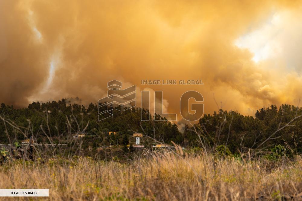 Forest Fire In Canary Islands