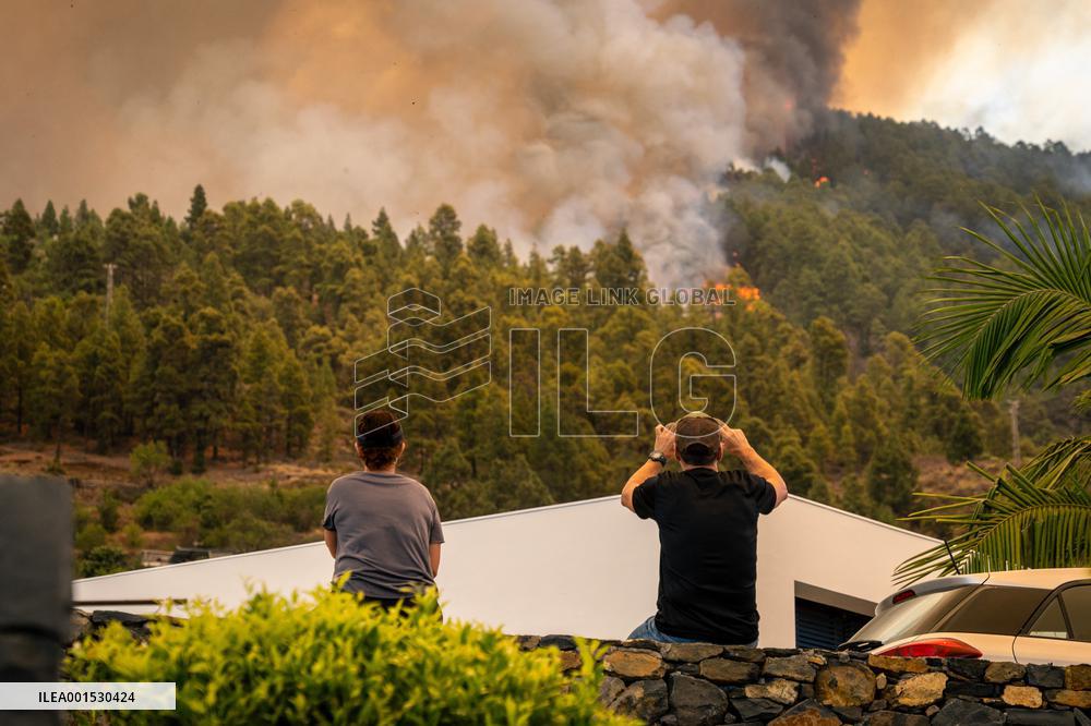 Forest Fire In Canary Islands