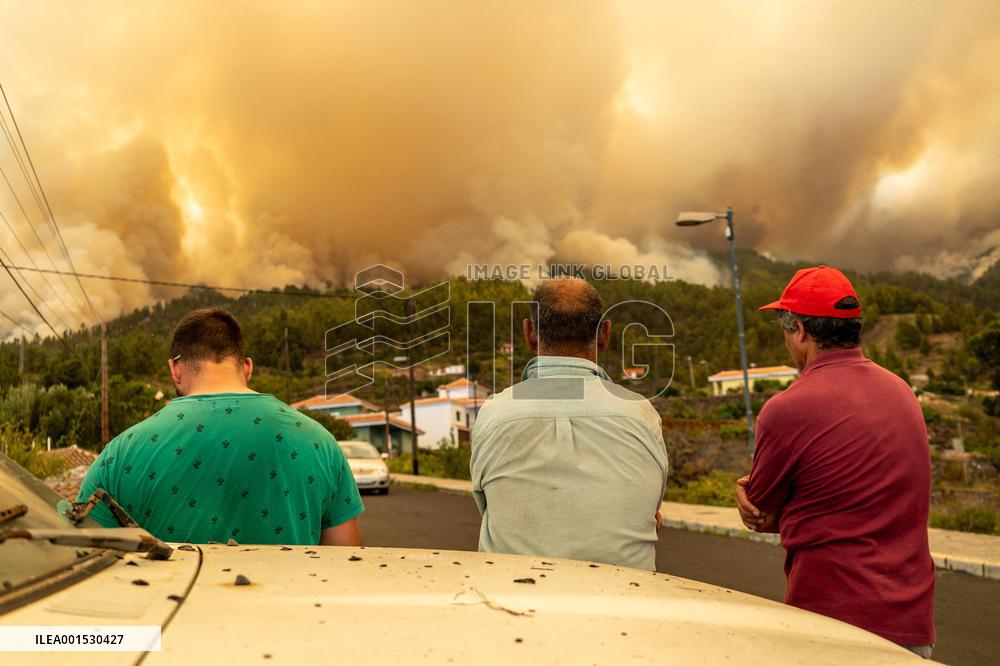 Forest Fire In Canary Islands