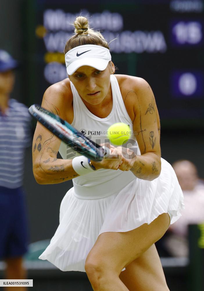 Tennis: Wimbledon championships