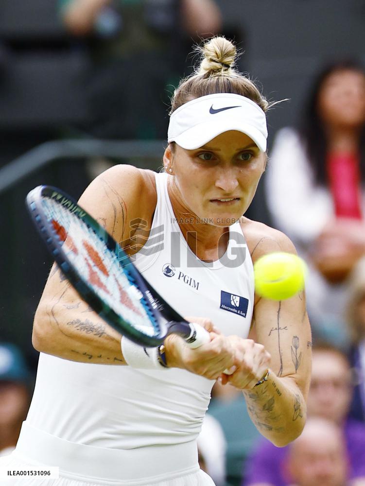 Tennis: Wimbledon championships