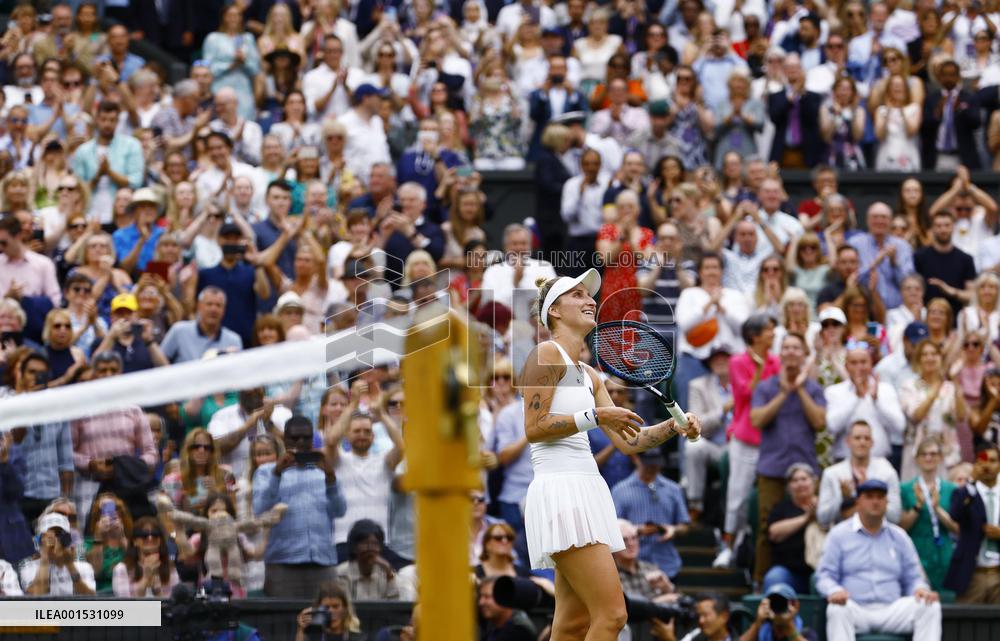 Tennis: Wimbledon championships