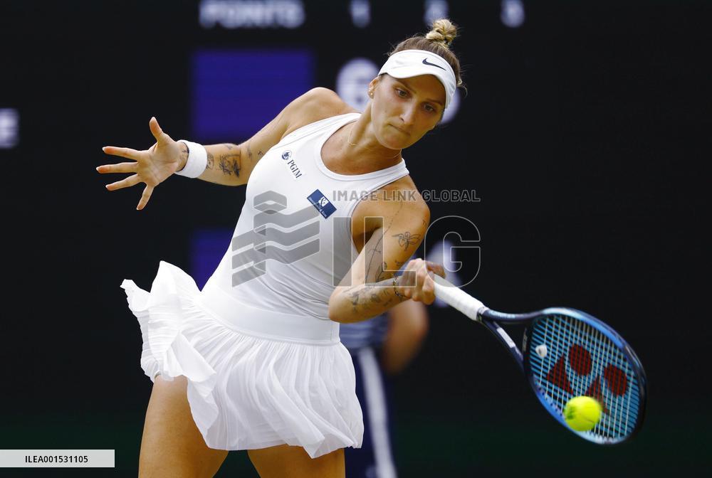 Tennis: Wimbledon championships